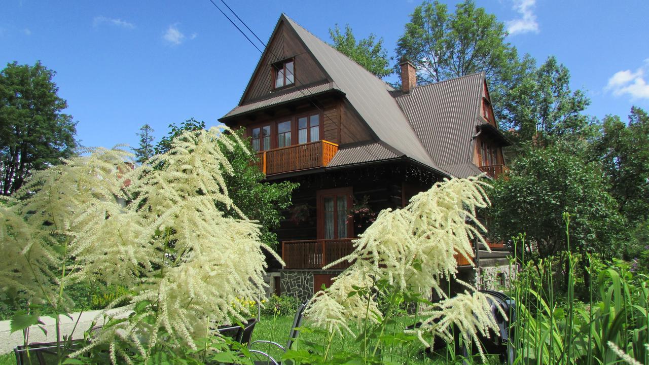 Willa Dewajtis Bed & Breakfast - Zakopane — Zdjęcia 1